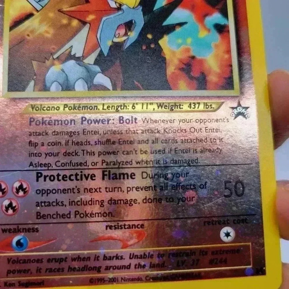 Entei Reverse Holo Promo Pokemon Card Animation INCLUDE FULL PROTECT TRADING CAR - Picture 11 of 15